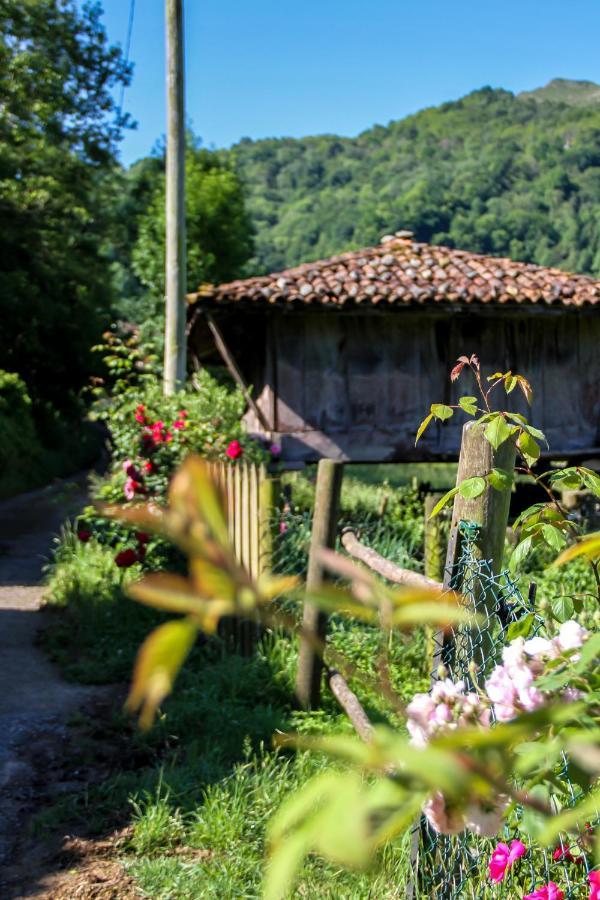 Caño Casa Clarita 빌라 외부 사진